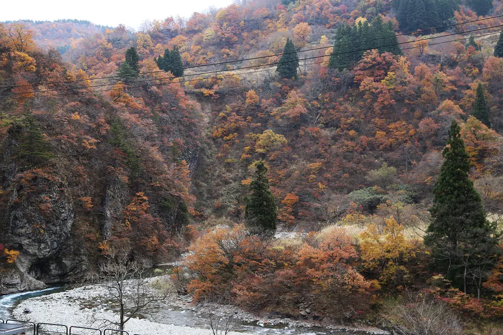 11 16 清津峡の紅葉 十日町市観光協会