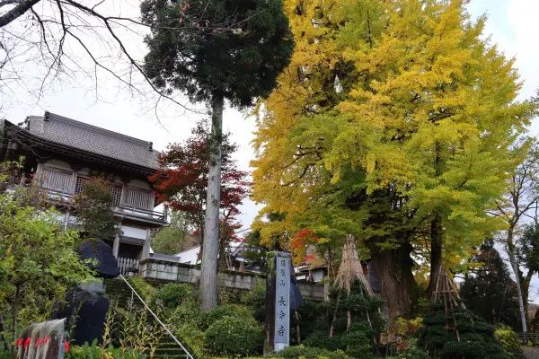 松代 松之山 秋の通りすがりの風物詩 十日町市観光協会