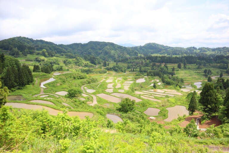 田植え全盛期 星峠の棚田 ローカルニュース 新潟の街ニュース ローカル情報 Komachi Web こまちウェブ