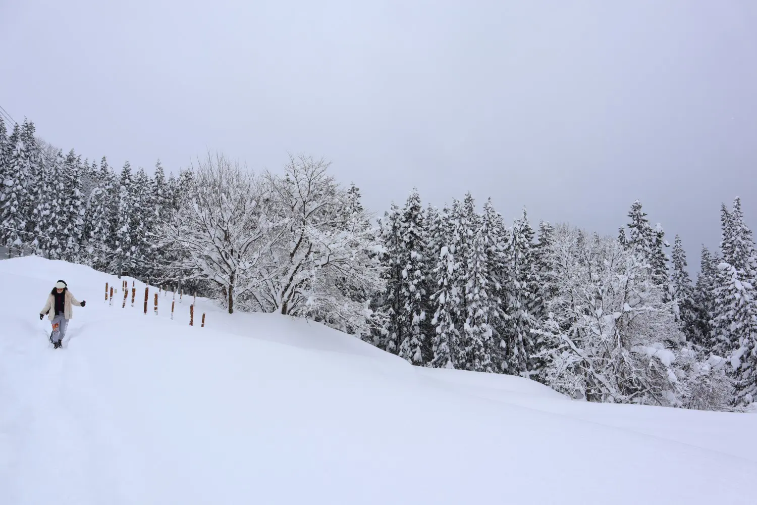 突然の雪シャワー アートな雪道を行くカバコフ新作先行公開と雪アート まつだい農舞台 十日町市観光協会