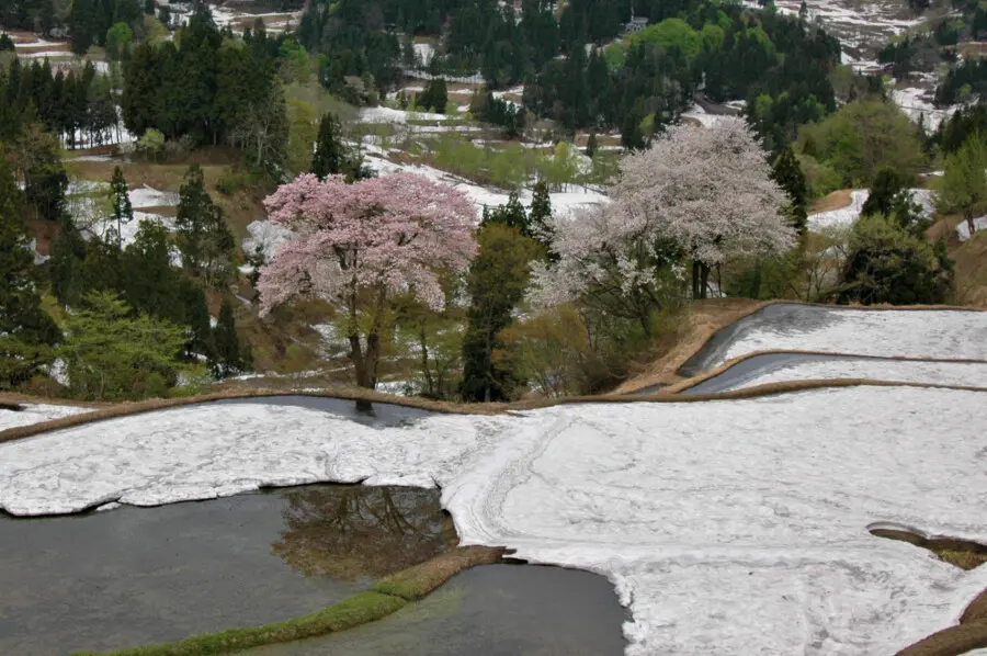 春でも楽しめる 絶景 残雪スポット 十日町市観光協会